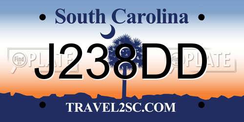 J238DD South Carolina License Plate