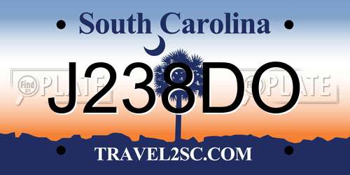 J238DO South Carolina License Plate