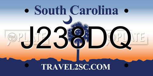 J238DQ South Carolina License Plate