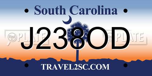 J238OD South Carolina License Plate
