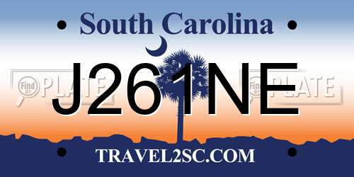 J261NE South Carolina License Plate