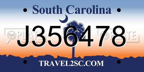 J356478 South Carolina License Plate