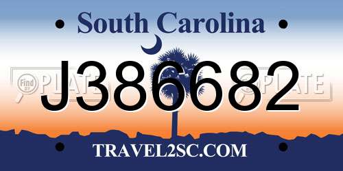 J386682 South Carolina License Plate