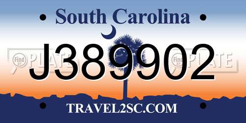 J389902 South Carolina License Plate