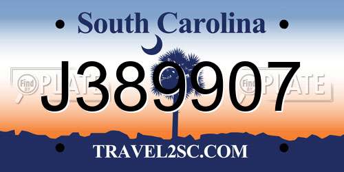 J389907 South Carolina License Plate