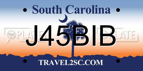 J45BIB South Carolina License Plate