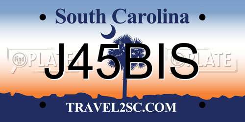 J45BIS South Carolina License Plate