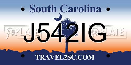 J542IG South Carolina License Plate