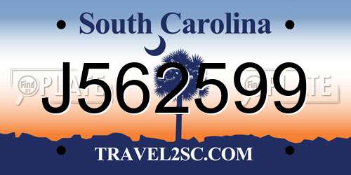 J562599 South Carolina License Plate