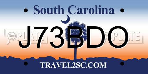 J73BDO South Carolina License Plate