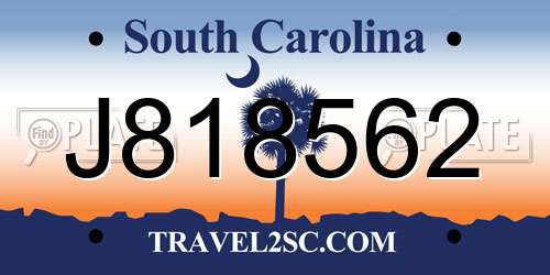 J818562 South Carolina License Plate