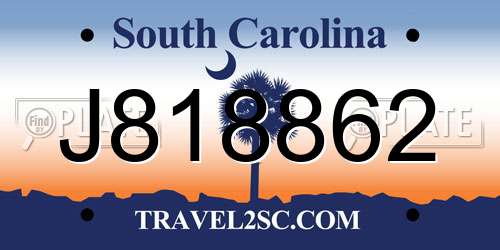 J818862 South Carolina License Plate