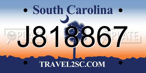 J818867 South Carolina License Plate