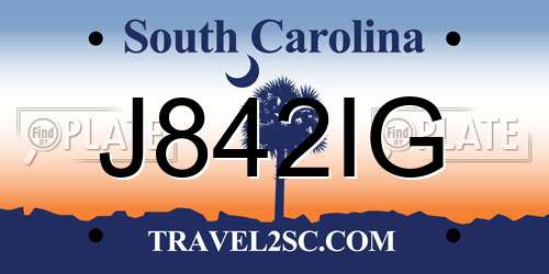J842IG South Carolina License Plate