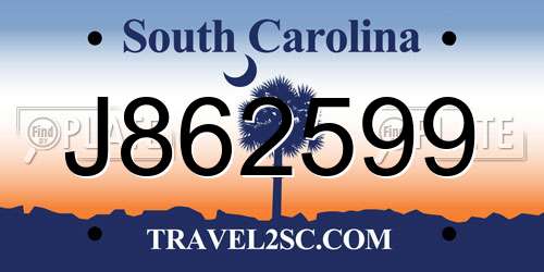 J862599 South Carolina License Plate