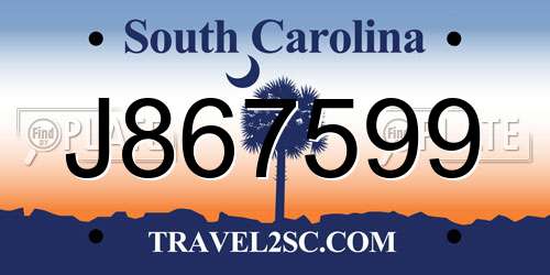 J867599 South Carolina License Plate