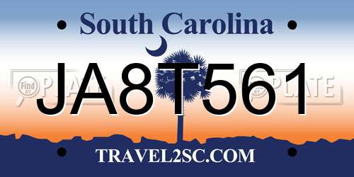 JA8T561 South Carolina License Plate