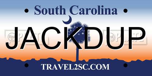 JACKDUP South Carolina License Plate