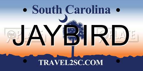 JAYBIRD South Carolina License Plate