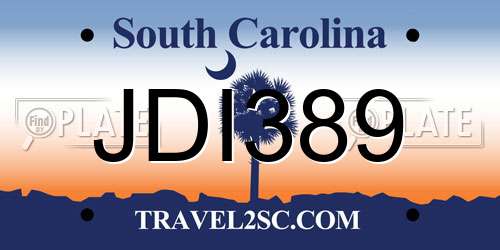 JDI389 South Carolina License Plate