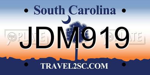 JDM919 South Carolina License Plate