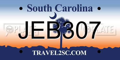 JEB307 South Carolina License Plate