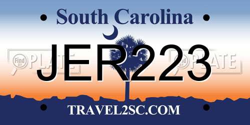 JER223 South Carolina License Plate