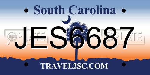 JES6687 South Carolina License Plate
