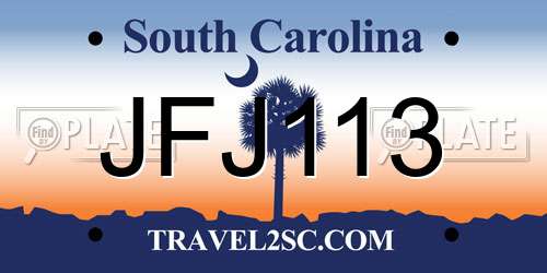 JFJ113 South Carolina License Plate