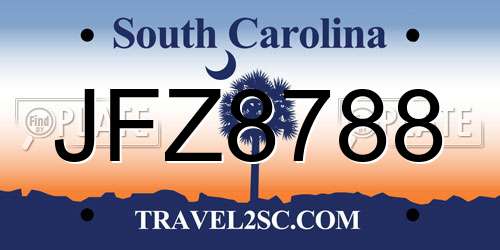 JFZ8788 South Carolina License Plate
