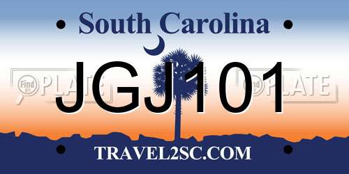 JGJ101 South Carolina License Plate