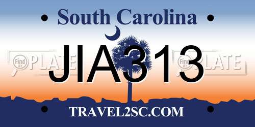 JIA313 South Carolina License Plate