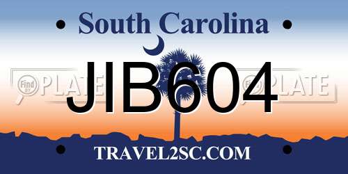 JIB604 South Carolina License Plate
