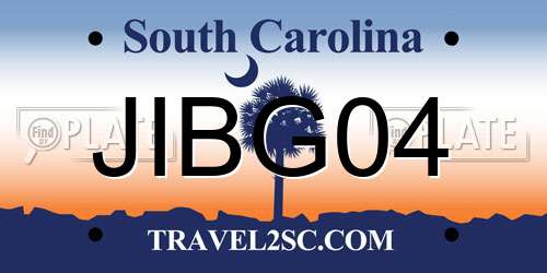 JIBG04 South Carolina License Plate