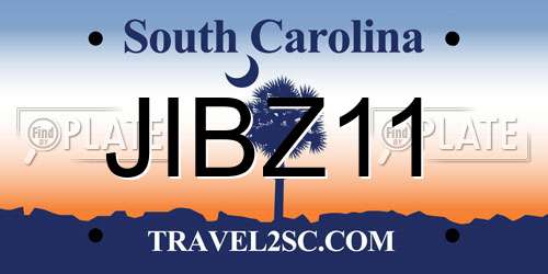 JIBZ11 South Carolina License Plate