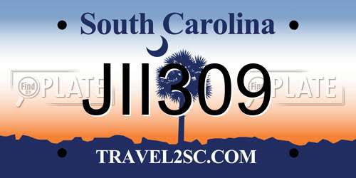 JII309 South Carolina License Plate