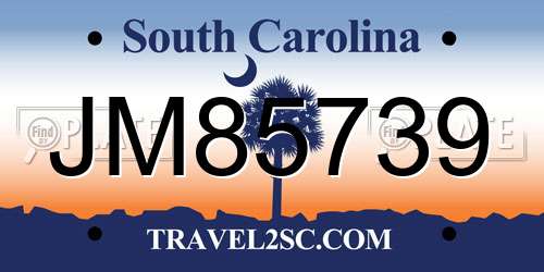 JM85739 South Carolina License Plate