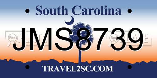 JMS8739 South Carolina License Plate