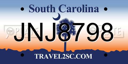 JNJ8798 South Carolina License Plate