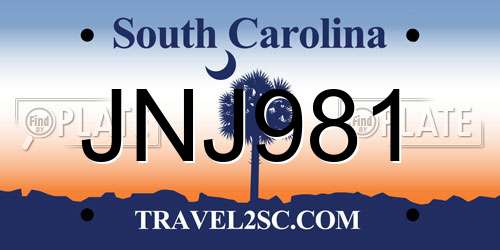 JNJ981 South Carolina License Plate