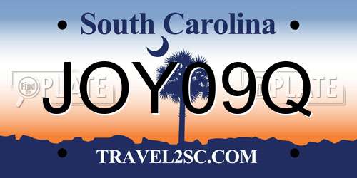 JOY09Q South Carolina License Plate