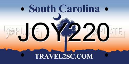 JOY220 South Carolina License Plate