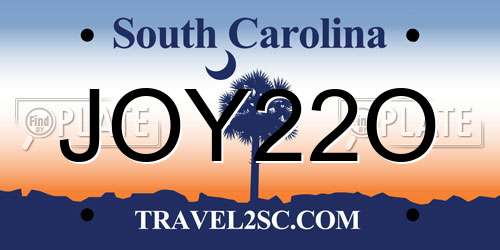 JOY22O South Carolina License Plate