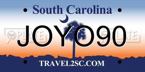 JOYO90 South Carolina License Plate