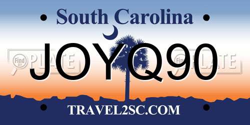 JOYQ90 South Carolina License Plate