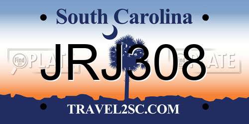 JRJ308 South Carolina License Plate