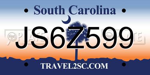 JS6Z599 South Carolina License Plate