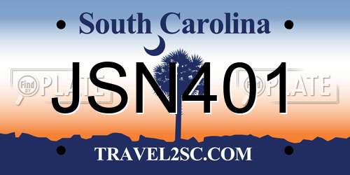 JSN401 South Carolina License Plate