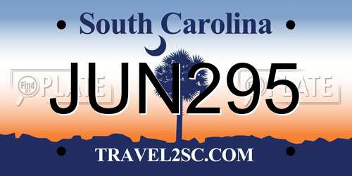 JUN295 South Carolina License Plate