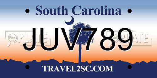 JUV789 South Carolina License Plate